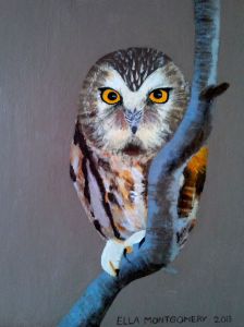 acrylic owl